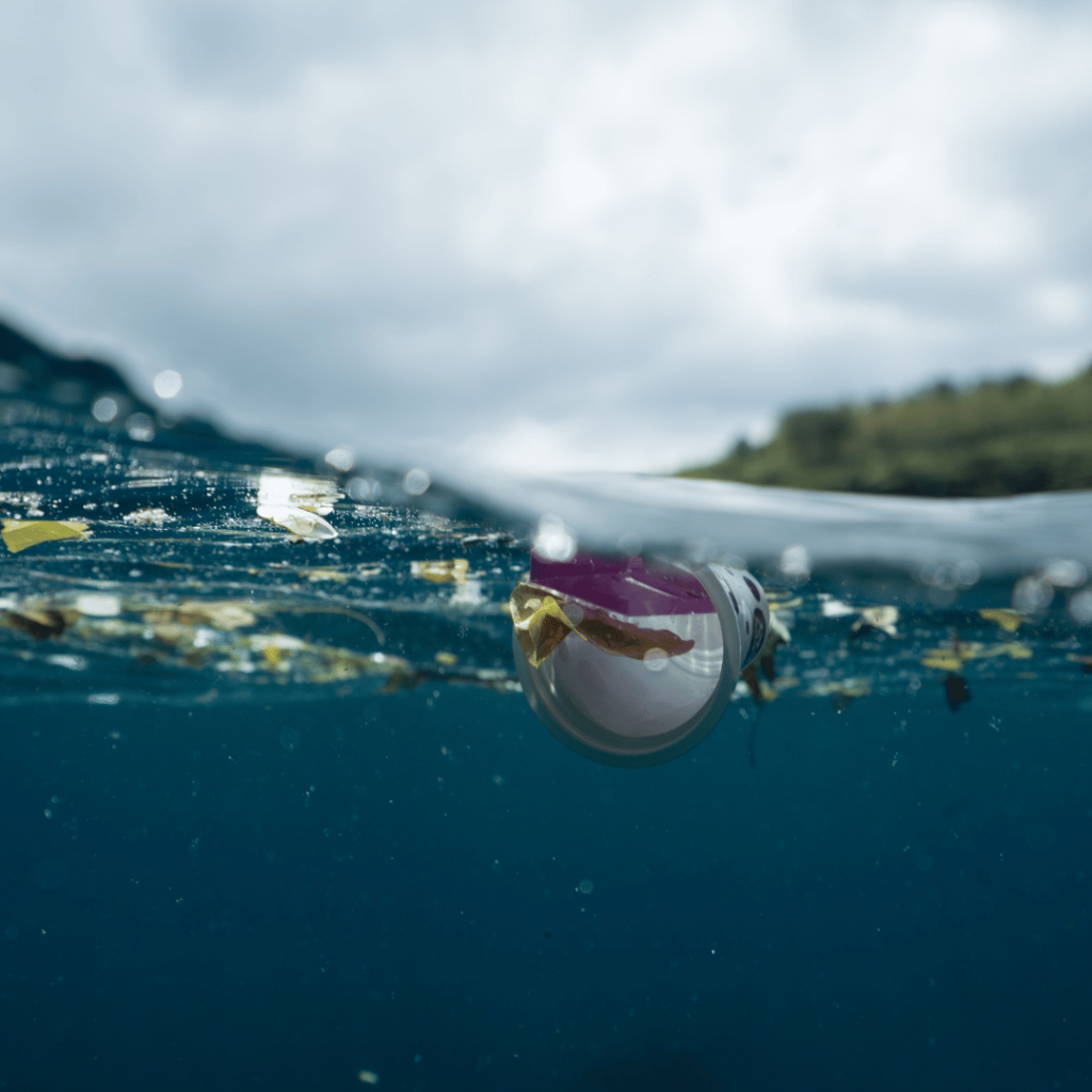 До какво води замърсяването на водата?
